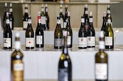 4 événements organisés par SudVinBio pour la filière