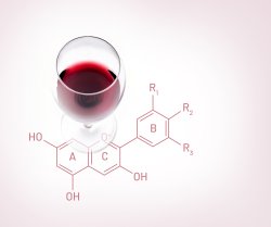 Les atouts des polysaccharides de levures
