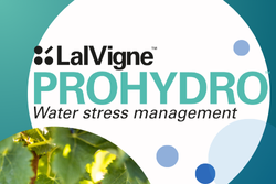 Atténuer les effets des vagues de chaleur à la vigne avec LalVigne PROHYDRO