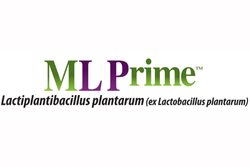 ML Prime<sup>TM</sup> : la révolution pour la fermentation malolactique !