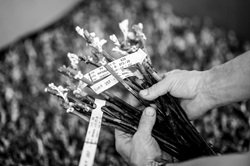 Traçabilité et sécurité sanitaire : le savoir-faire des Pépinières Guillaume depuis 1895