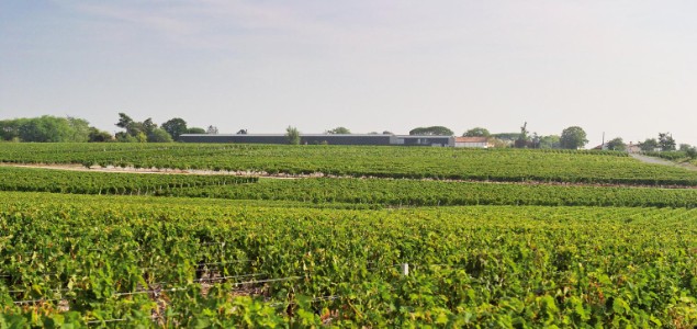 Valoriser son exploitation grâce au photovoltaïque et à l’éco-conception