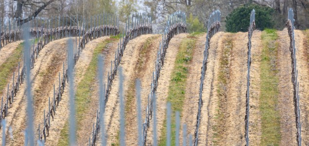  Le profilage acier made in les Landes au service de la viticulture depuis 30 ans