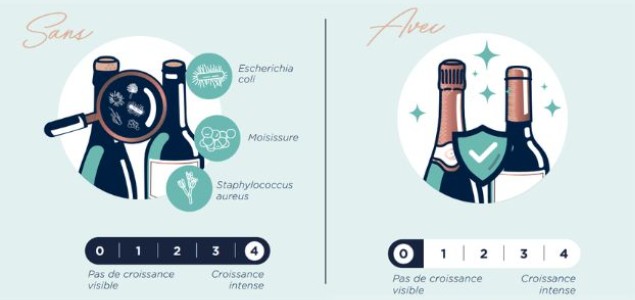 Capsule et coiffe : boucliers indispensables contre les bactéries et les moisissures  Capsule et coiffe : boucliers indispensables contre les bactéries et les moisissures