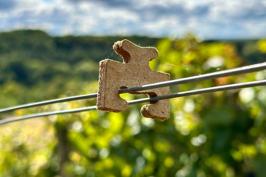 Offrez à vos vignes une saison 2026 responsable avec AV4 Offrez à vos vignes une saison 2026 responsable avec AV4