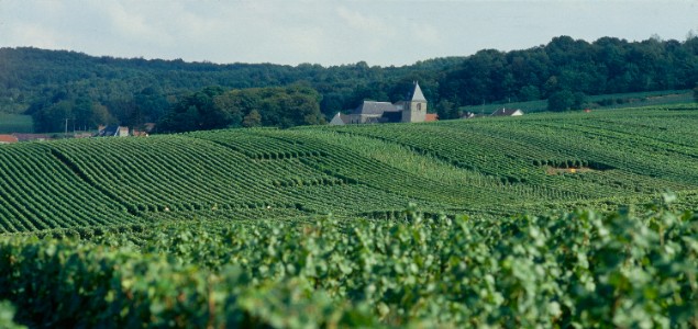  Les réponses à vos questions sur EXPLOYO<sup>TM</sup> Vit