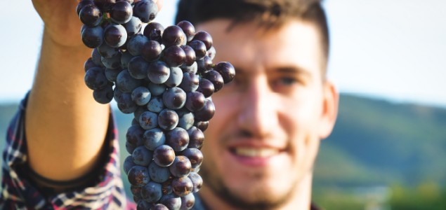  LBG-01F34<sup>®</sup> une solution sécuritaire pour protéger efficacement votre vigne en 2025