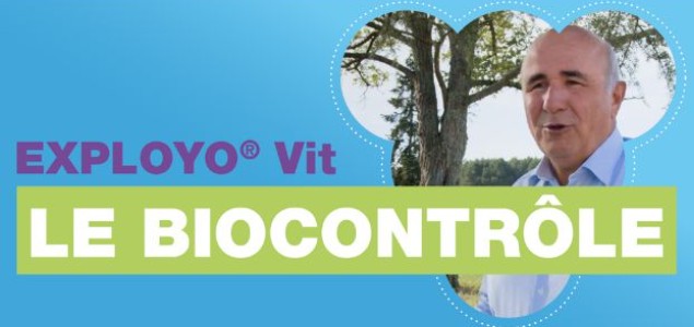 Confusion sexuelle de biocontrôle : l'innovation avec EXPLOYO® Vit