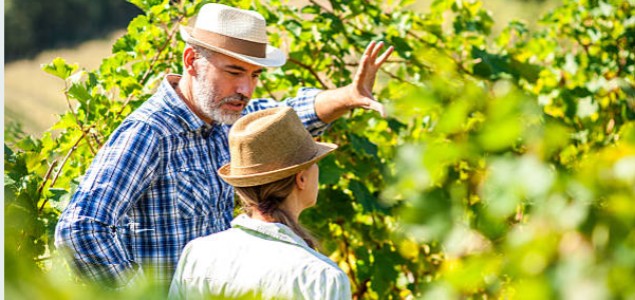  Lutte contre le black-rot : ARMICARB<sup>®</sup> et LBG-01F34<sup>®</sup>, vos nouveaux alliés !