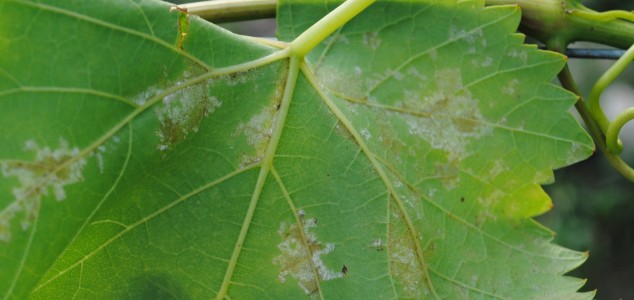 Faites le choix de la sécurité avec LBG-01F34