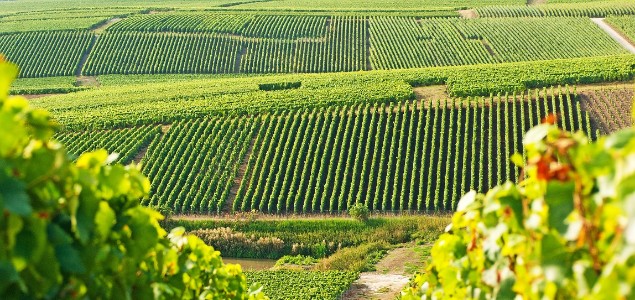  Comment réduire encore ses IFT tout en restant performant ?