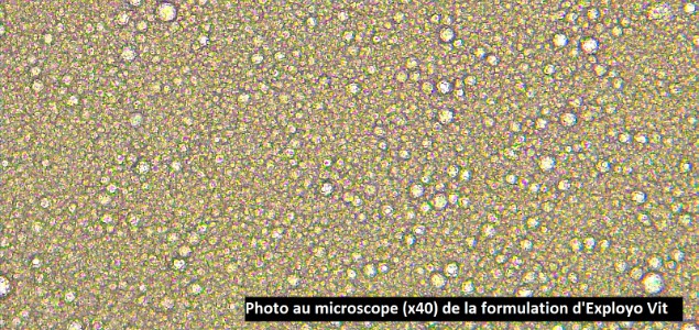  EXPLOYO<sup>TM</sup> Vit, une solution de confusion sexuelle innovante