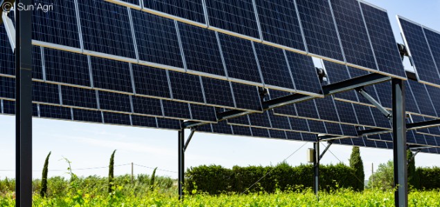  Un microclimat idéal pour la plante