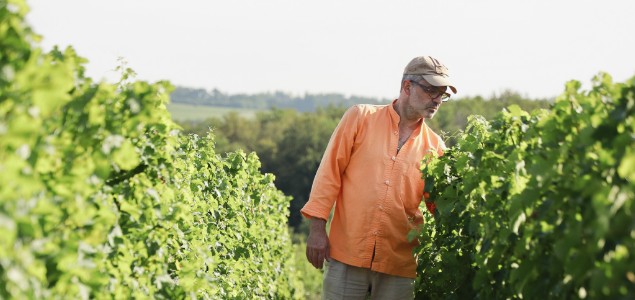 « Pledge® est gage d’efficacité sur un large spectre d’adventices »