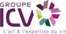 Groupe ICV
