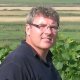 Cration du vignoble