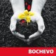 BOCHEVO