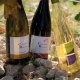 Etiquettes adhsives pour le vin